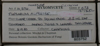 Image Associated With the Occurence